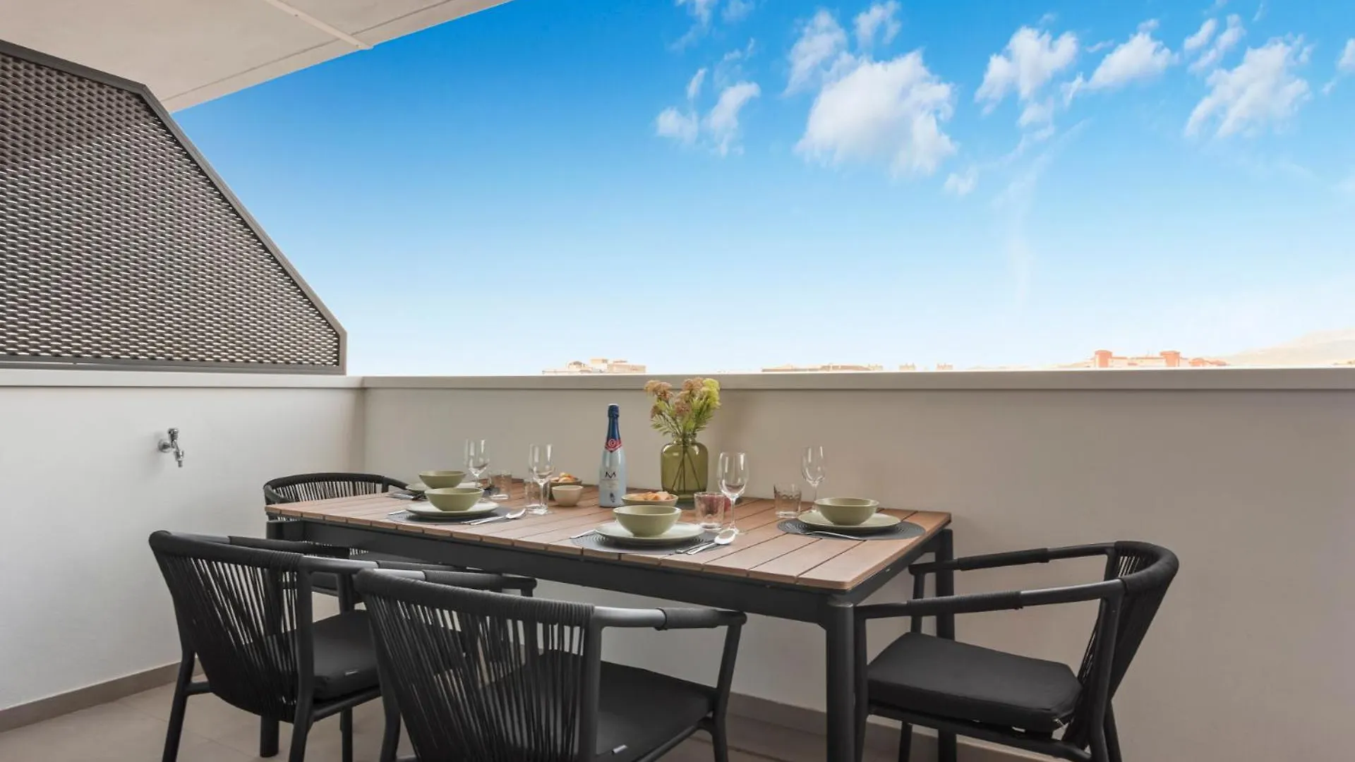 Skyline Penthouse Estepona 0*,